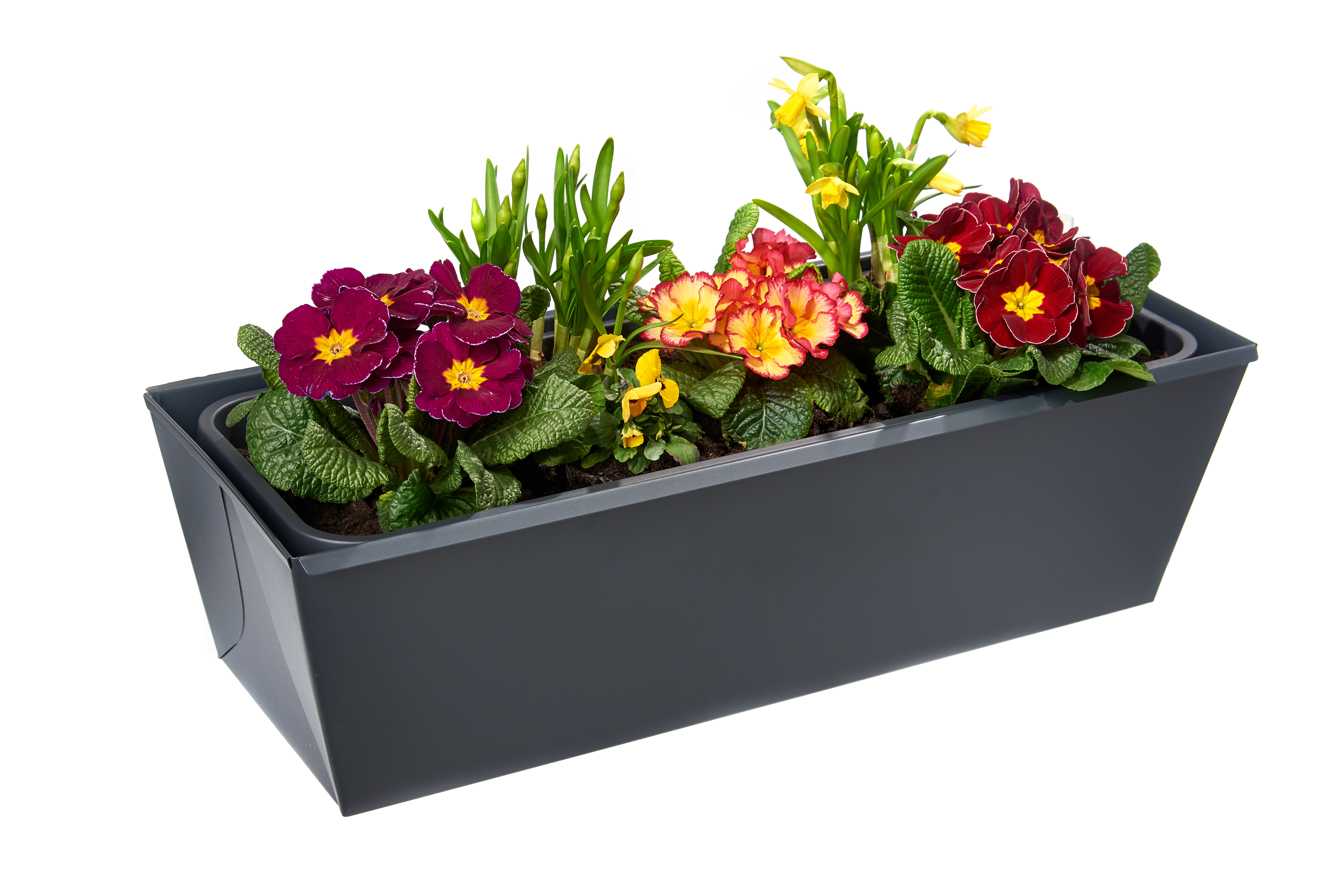 gabioka flowerbox 60cm de luxe anthrazit pulverbeschichtet (RAL 7016 glatt matt) mit Wasserstandsanzeige und Wasserspeicher